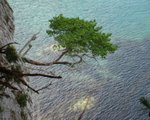 IMG_2476