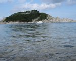IMG_2490