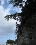 IMG_2492