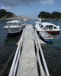 IMG_2494