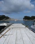 IMG_2495