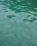 IMG_2497