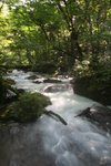 IMG_6032