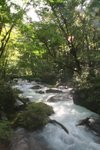 IMG_6034