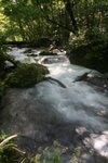IMG_6035