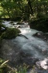 IMG_6036
