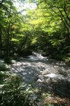 IMG_6041