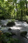 IMG_6050