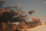 IMG_6125