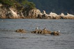 IMG_5876