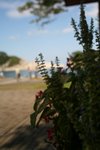 IMG_5883