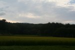 IMG_5908