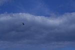 IMG_6233