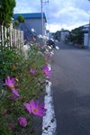 IMG_6258