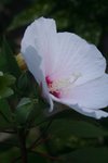 IMG_6260