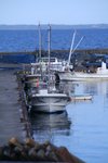 IMG_6261