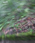 IMG_2627