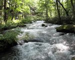 IMG_2672