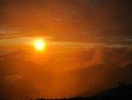 IMG_1243