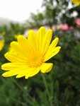 IMG_1466