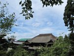 IMG_9821