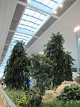 IMG_1932