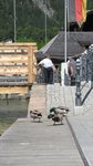 IMG_2316