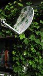 IMG_3191