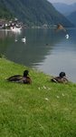 IMG_3195