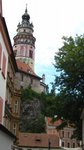 IMG_3431