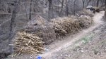 IMG_8279