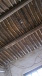 IMG_8471