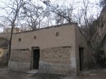 IMG_8478