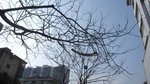 IMG_8634