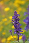 PICT0080