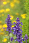 PICT0083