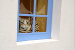 PICT0087
