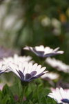 PICT0092