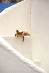 PICT0095