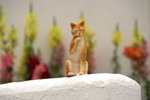 PICT0096