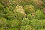 PICT0124