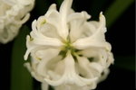 PICT0185