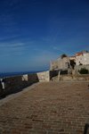 DSC03401