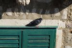 DSC03408