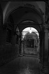 DSC03528