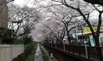 IMG_20140331_081510