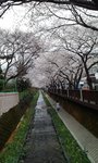 IMG_20140331_081516