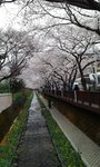 IMG_20140331_081521