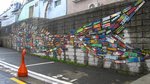 IMG_8285