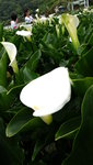 DSCF2802